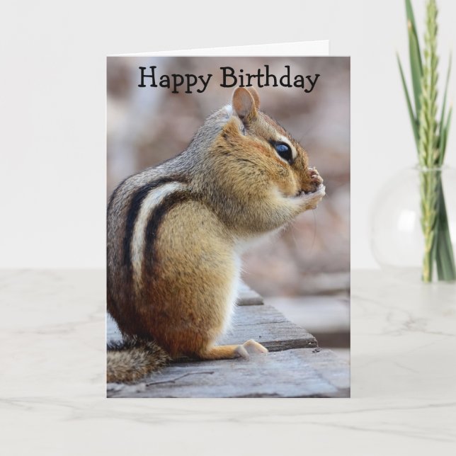 Little Stinker Chipmunk Birthday Card (Front)