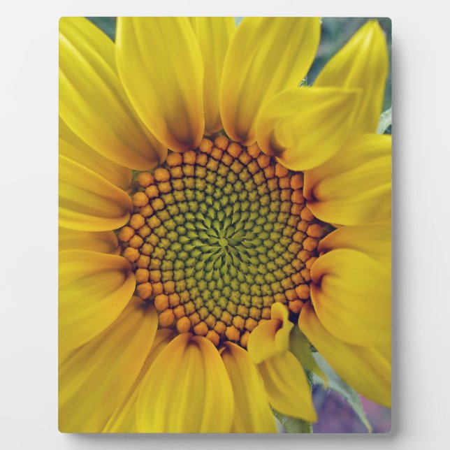 Little Sunflower Plaque (Front)
