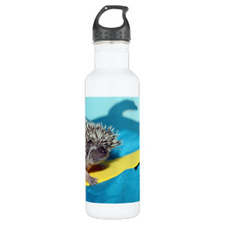 LIttle Surfer Girl 710 Ml Water Bottle