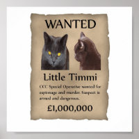 Little Timmi voulait une affiche