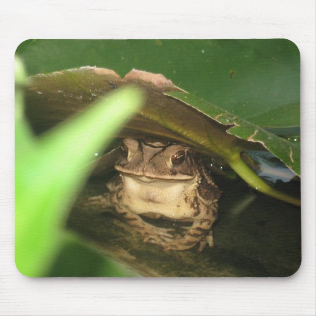 Little Toad Frog Mouse Pad (Front)