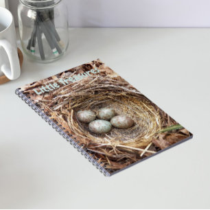 Little Treasures Bird Nest Eggs Notebook