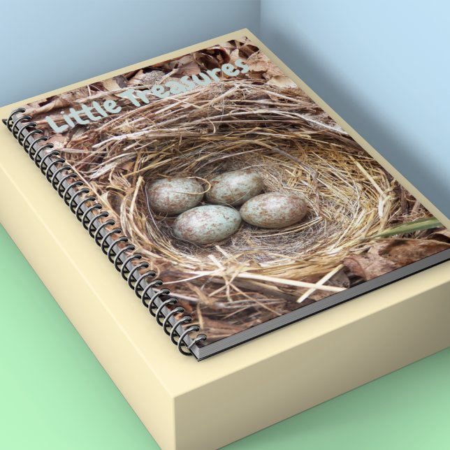Little Treasures Bird Nest Eggs Notebook (In Situ)
