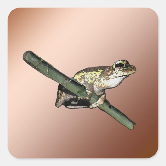 Little Tree Frog Oil Paint, Stickers (Front)