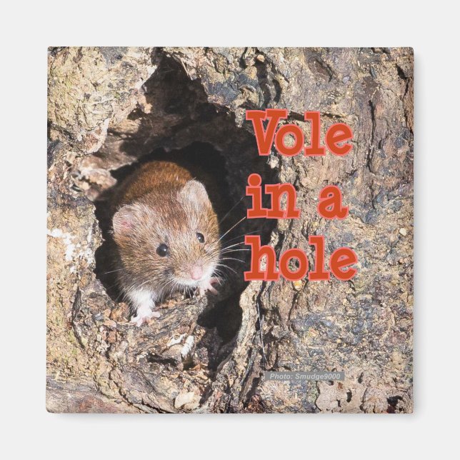 Little Vole in a Hole Fridge Magnet (Front)