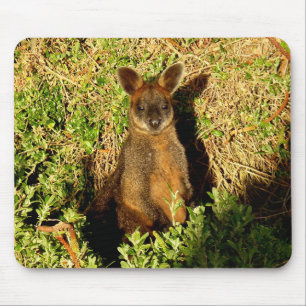 Little Wallaby Mouse Pad