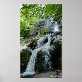 little wateralls poster