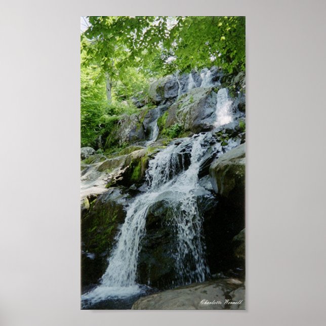 little wateralls poster (Front)