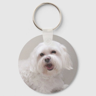 Little White Dog (Maltese) Rescue Keychain