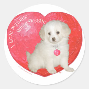 Little White Dog Rescue Valentine Classic Round Sticker