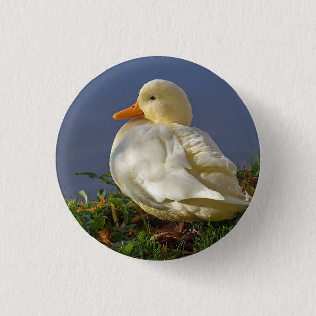 Little White Duck 1 Inch Round Button (Front)