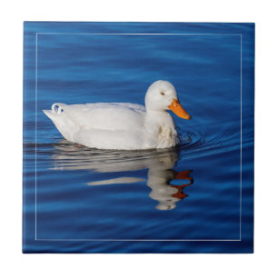 Little White Duck In Rippled Water Tile