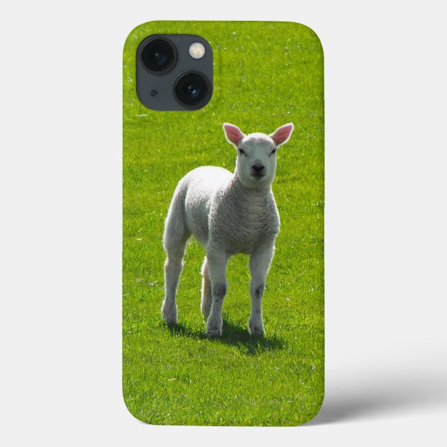 Little White Lamb on green glass Case-Mate iPhone Case (Back)
