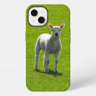 Little White Lamb on green glass iPhone 13 Case