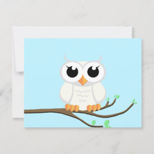 Little White Owl - Blank Postcard