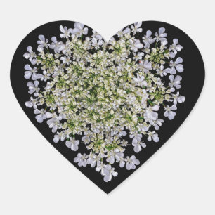 little white petals  heart sticker