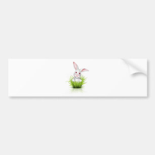 Little white rabbit bumper sticker