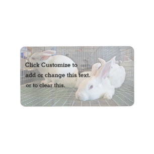 Little white rabbits label