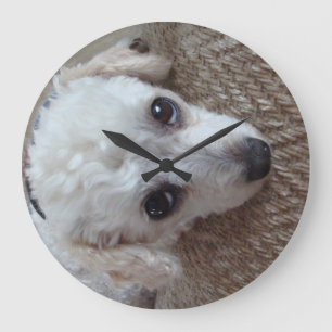 Little White Teacup Poodle Dog Large Clock
