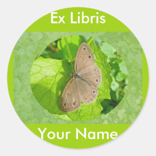 Little Wood Satyr Butterfly Coordinating Items Classic Round Sticker