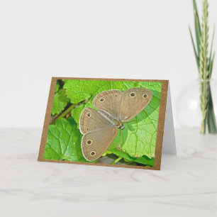 Little Wood Satyr Butterfly Note Card