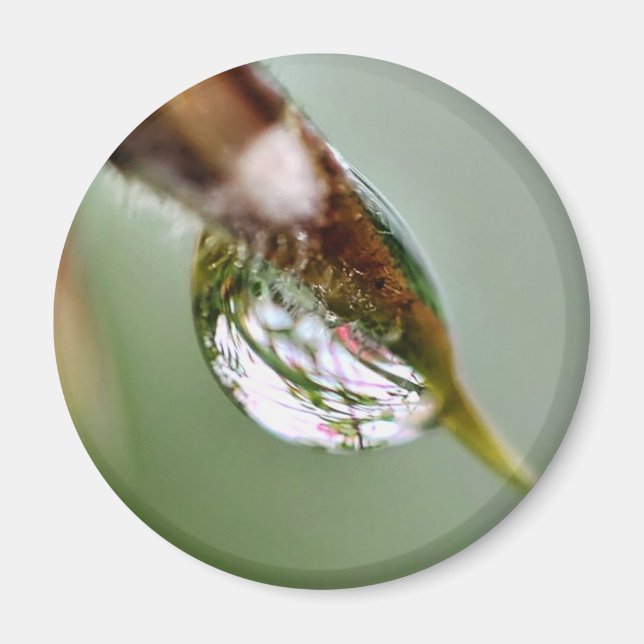 Little World Water Droplet Magnet (Front)