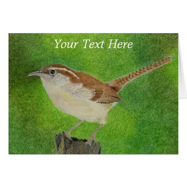 Little Wren (Front Horizontal)