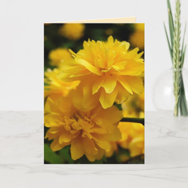 Little Yellow Flowers Greeting Card (Front)