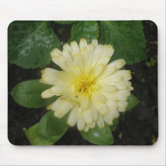 Little Yellow Marigold Mousepad