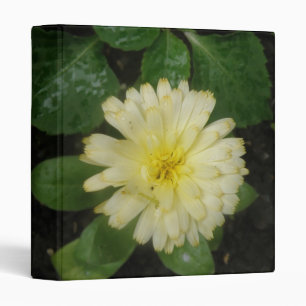 Little Yellow Marigold Photograph Album Binder