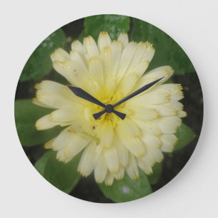 Little Yellow Marigold Wall Clock