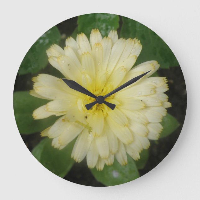 Little Yellow Marigold Wall Clock (Front)