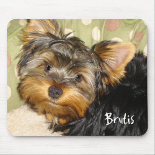 Little Yorkie Mouse Pad