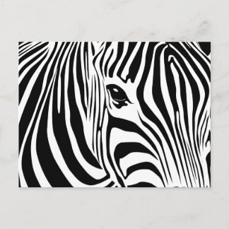 Little Zebra Postcard
