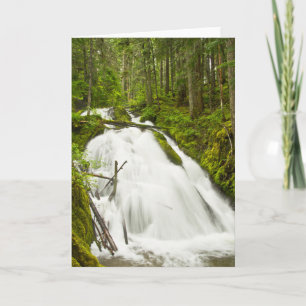 Little Zig Zag Falls   Mount Hood National Forest Card