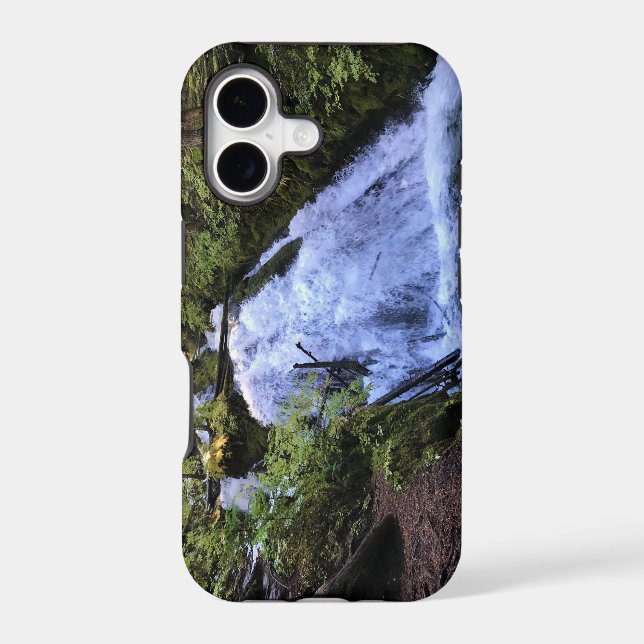 Little Zigzag Falls, OR (Back)