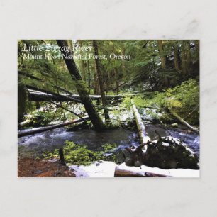 Little Zigzag River, Oregon Postcard