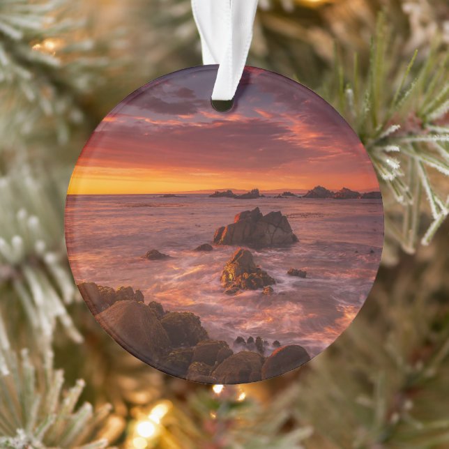Littoral | Sunset Pacific Grove Carmel California (Arbre)