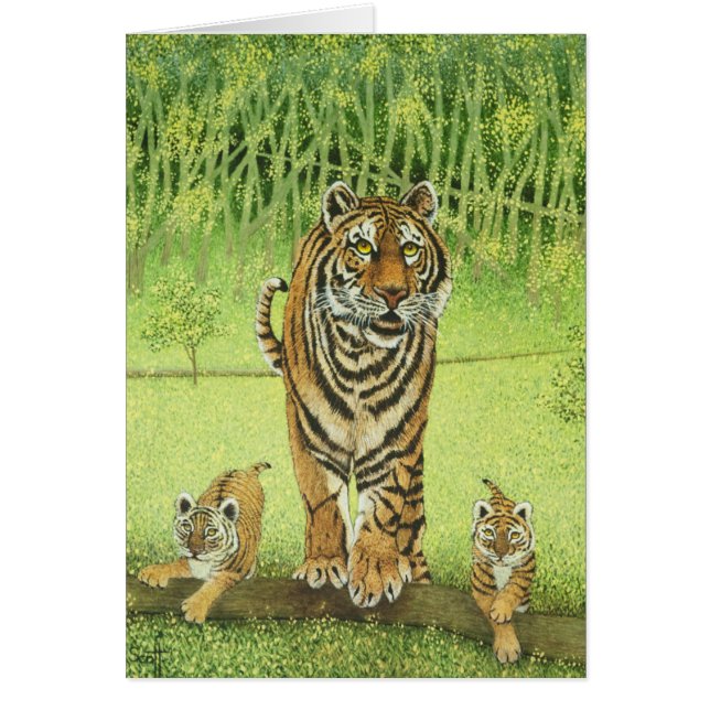 Live and learn (Front)