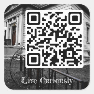 live curiously sticker