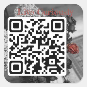 live curiously sticker