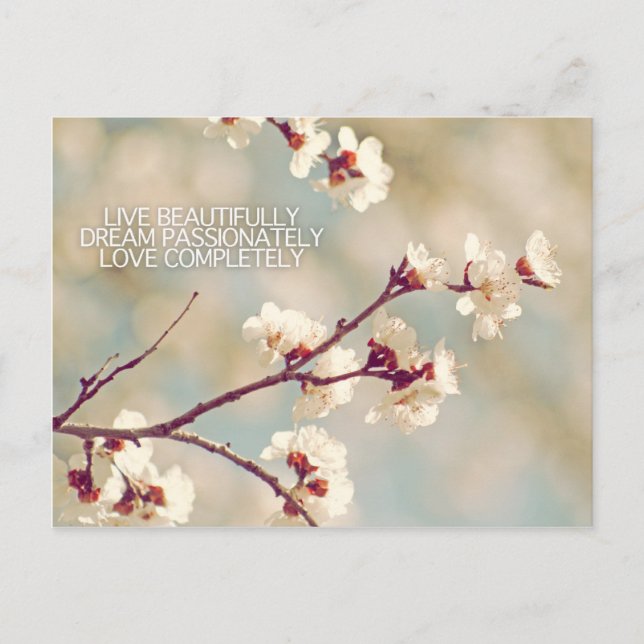live dream love I Postcard (Front)
