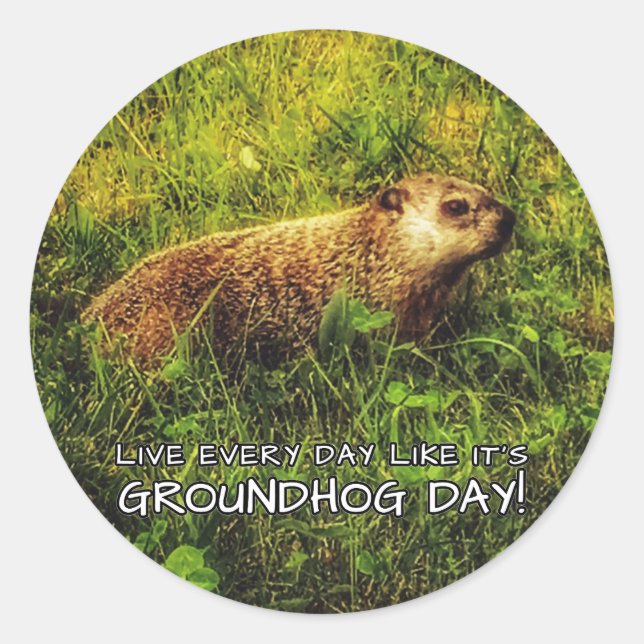 Live every day like it's Groundhog Day! Classic Round Sticker (Front)