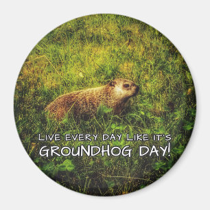 Live every day like it's Groundhog Day! magnet