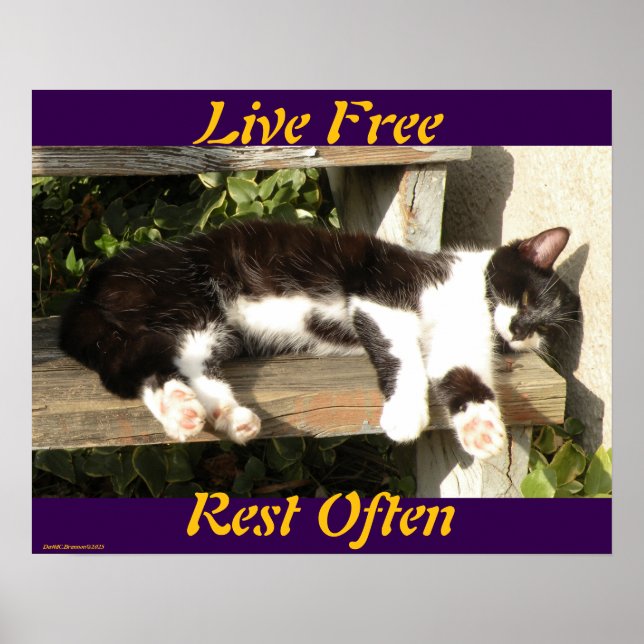 "Live Free", Smiler, cute, cat, gift Poster (Front)