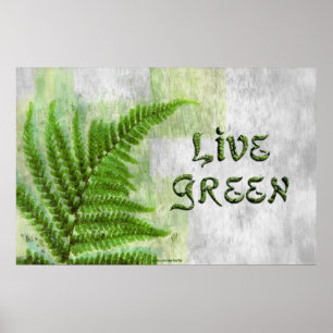 LIVE GREEN De l'environnement Eco Art Poster