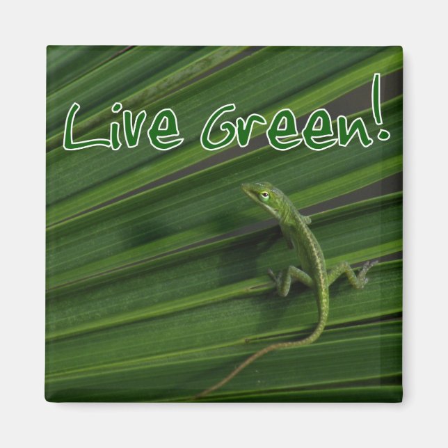 Live Green Lizard Magnet (Front)