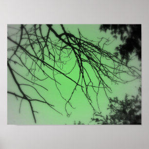 Live Green Poster