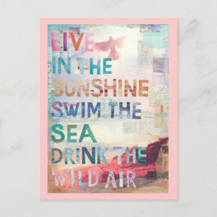 Live in the Sunshine Postcard