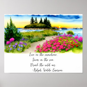 Live In The Sunshine Quote Scenic Poster